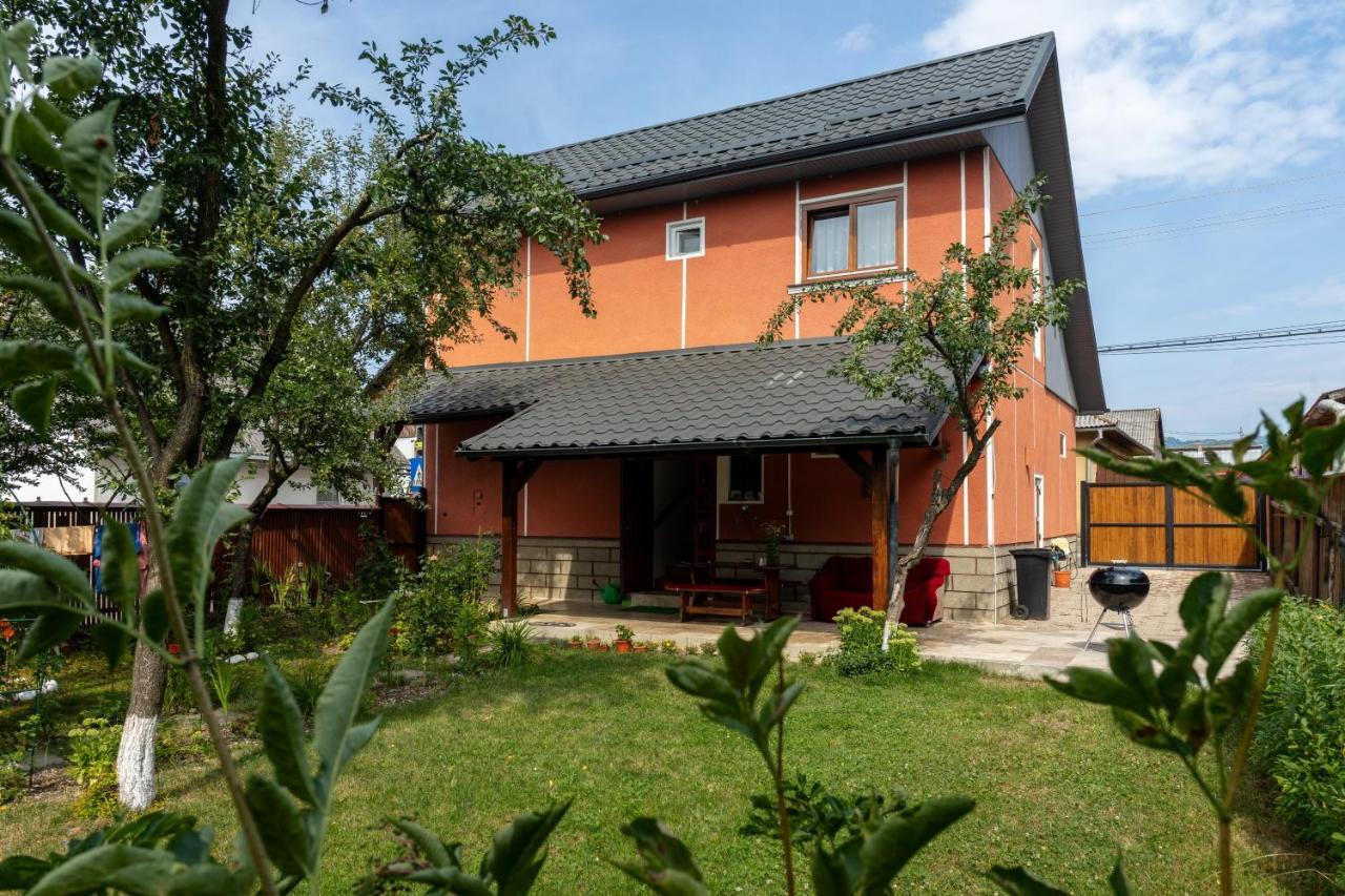 Generous Family Home Vişeu de Sus エクステリア 写真