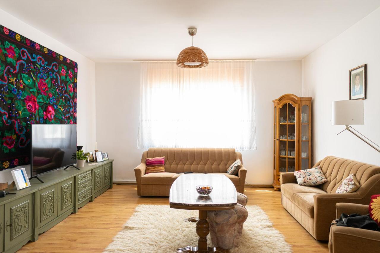 Generous Family Home Vişeu de Sus エクステリア 写真