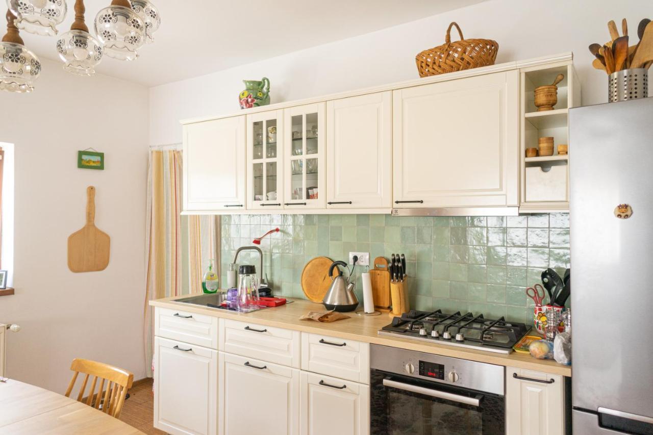 Generous Family Home Vişeu de Sus エクステリア 写真