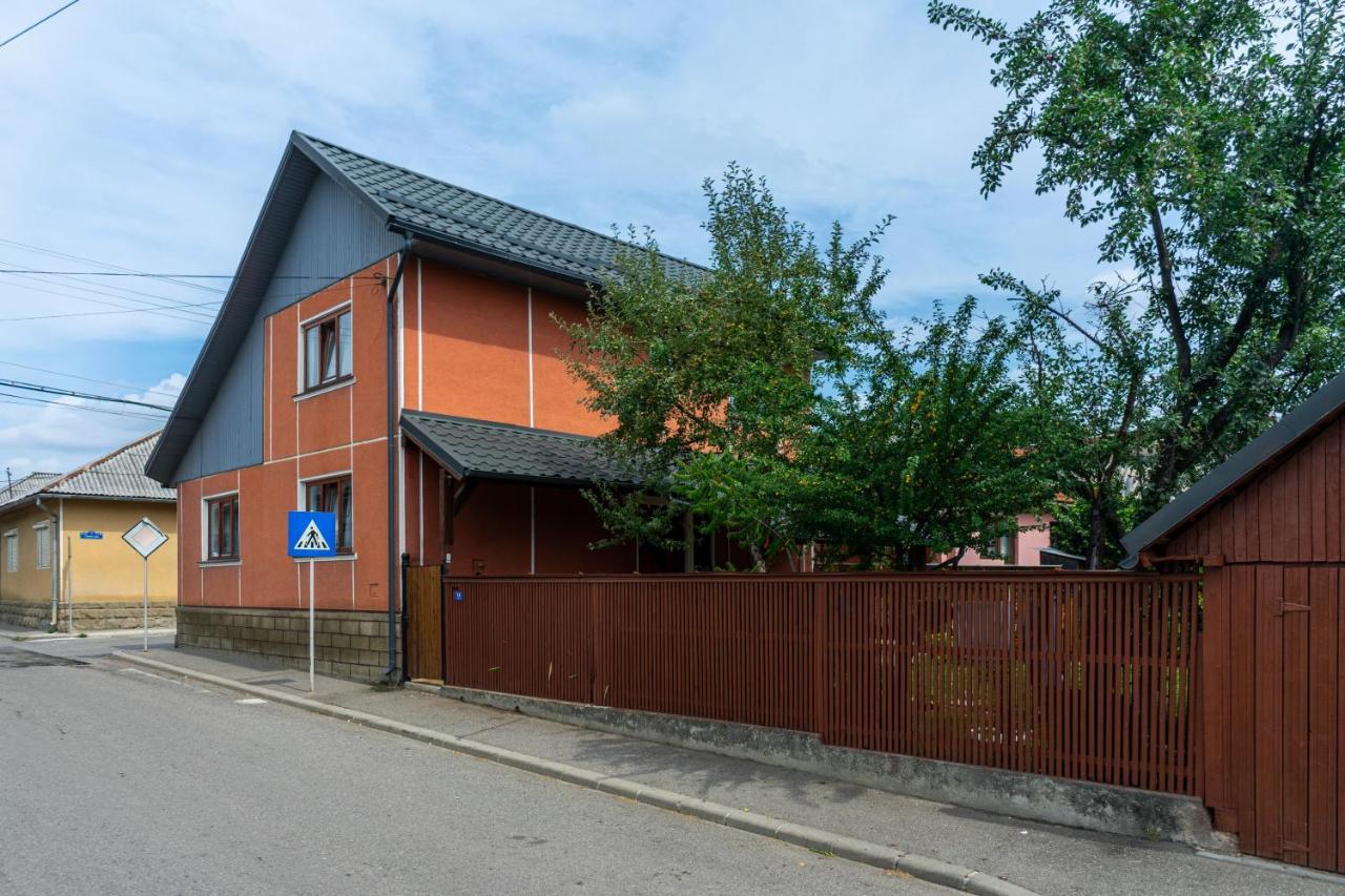 Generous Family Home Vişeu de Sus エクステリア 写真